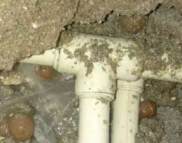 大姚测漏水多少钱