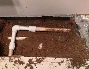 大姚测漏水哪家好