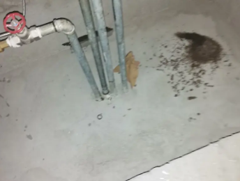 大姚卫生间测漏水价格明细