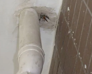 大姚漏水检测哪家好